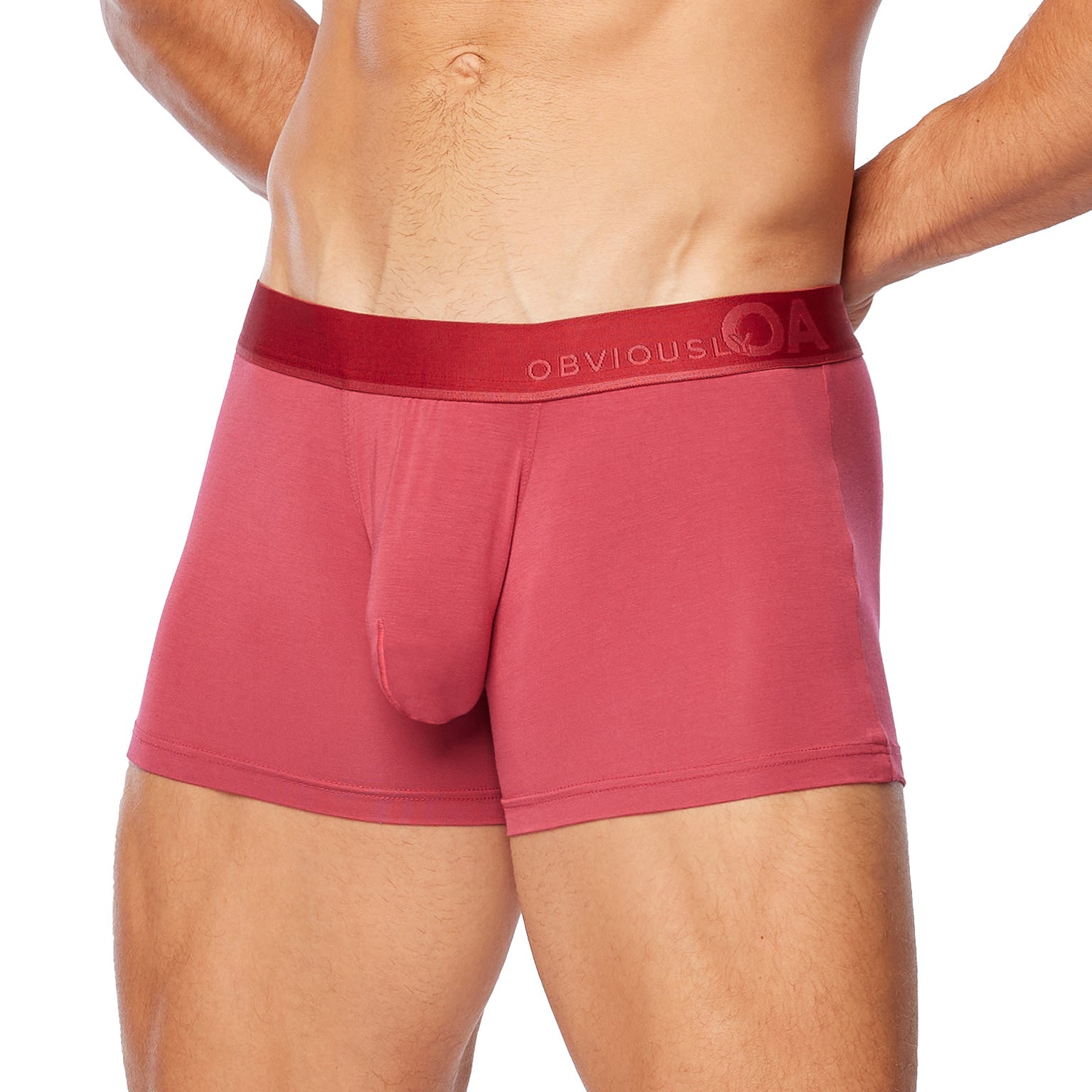 Obviously Apparel Basics Collection - AnatoMAX Boxer Brief 9 inch