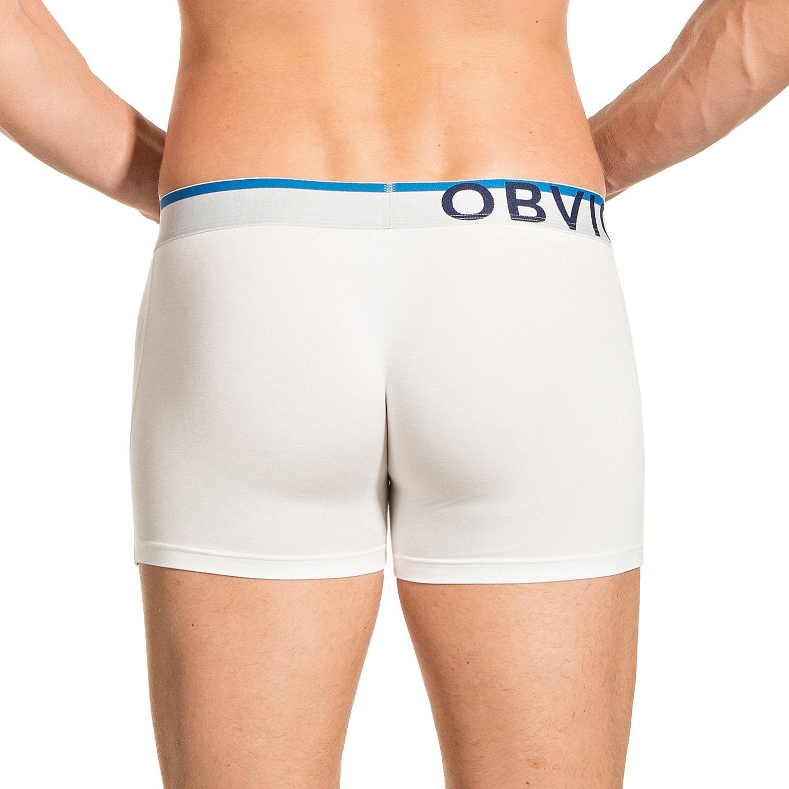 Obviously EveryMan - Boxer Brief 3 inch Leg - Teal : : Clothing,  Shoes & Accessories